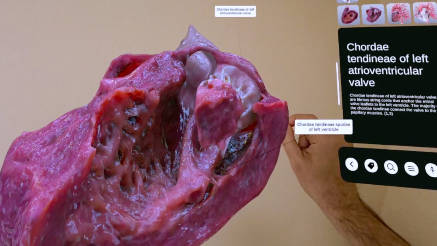 Experience XR Heart Anatomy